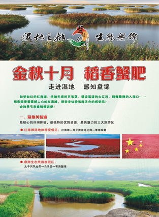 游客雜志廣告服務 連接全球旅行者，點亮品牌旅程